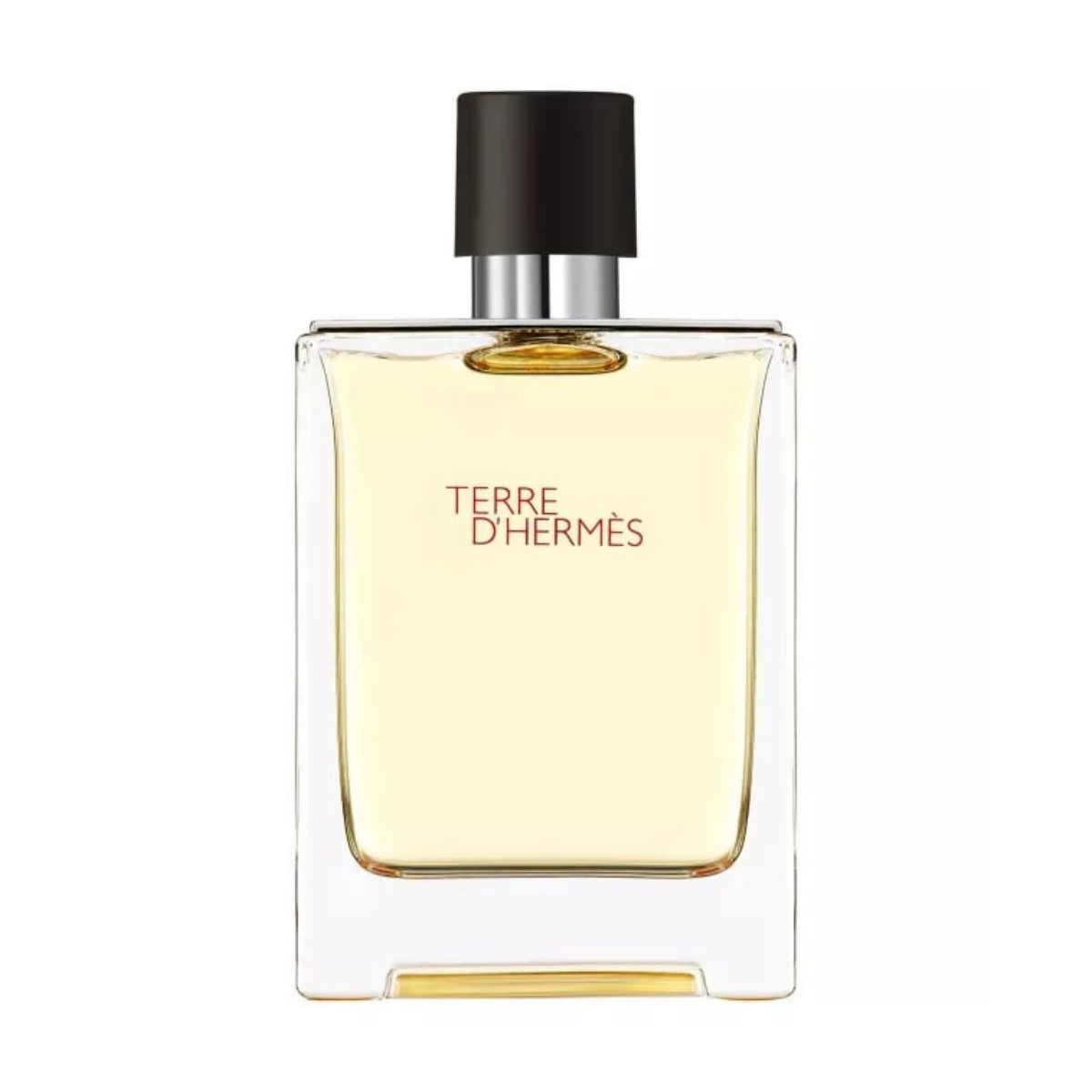 Hermes Terre D'hermes EDT TESTER 100 ml