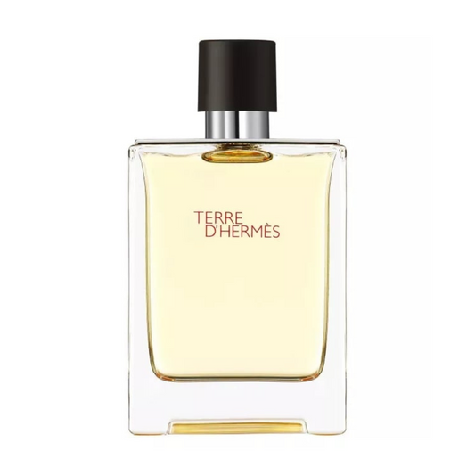 Hermes Terre D'hermes EDT TESTER 100 ml