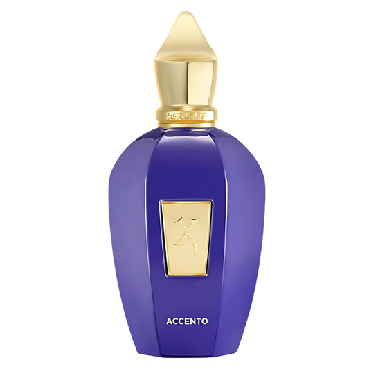 Xerjoff Accento EDP New Bottle 100 ml TESTER